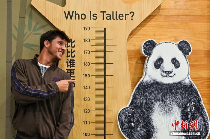 学川菜看大熊猫：中外网球选手在成都体验安逸